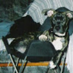 Meet your Posher, Damien